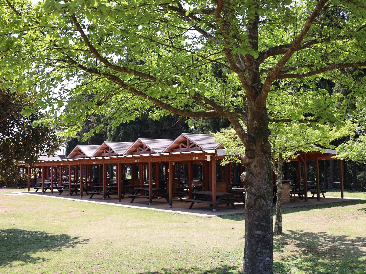 屋根付きだから雨天時も安心!