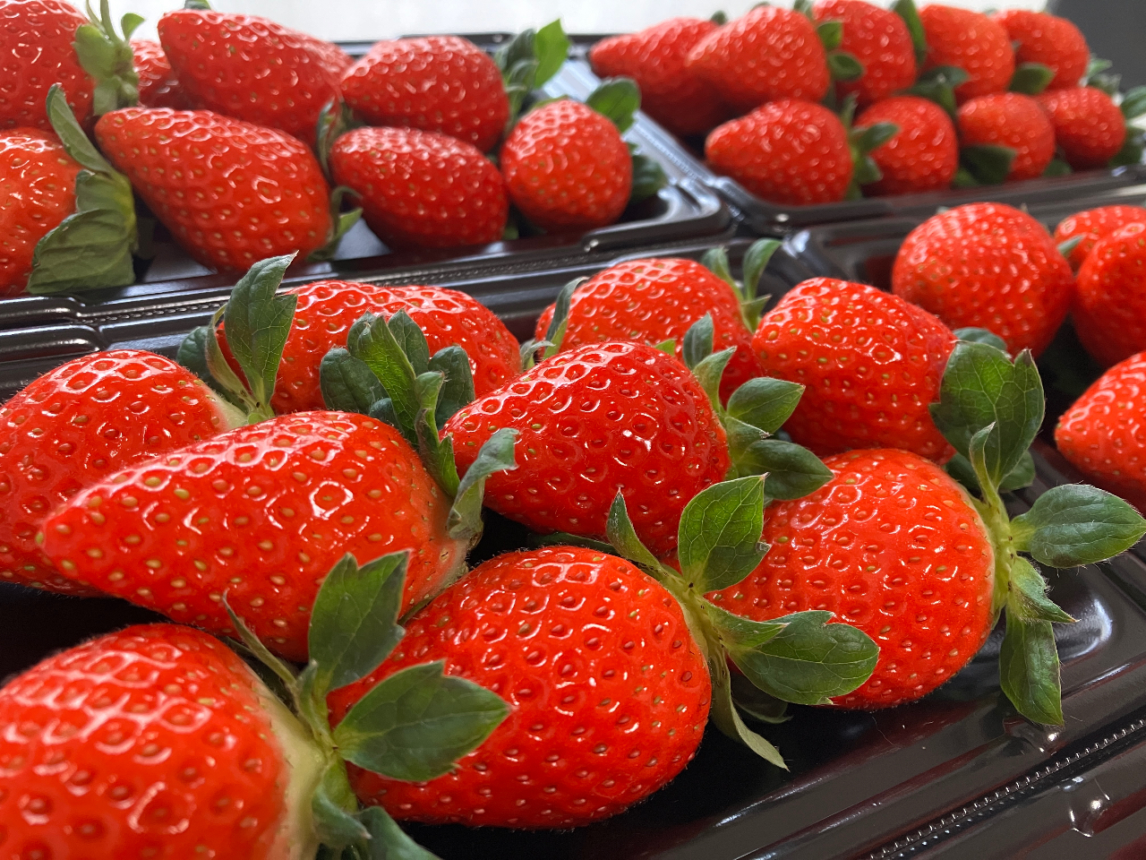 Â݂AƂĂǂ́uvBS߂ĈĂĂ܂B