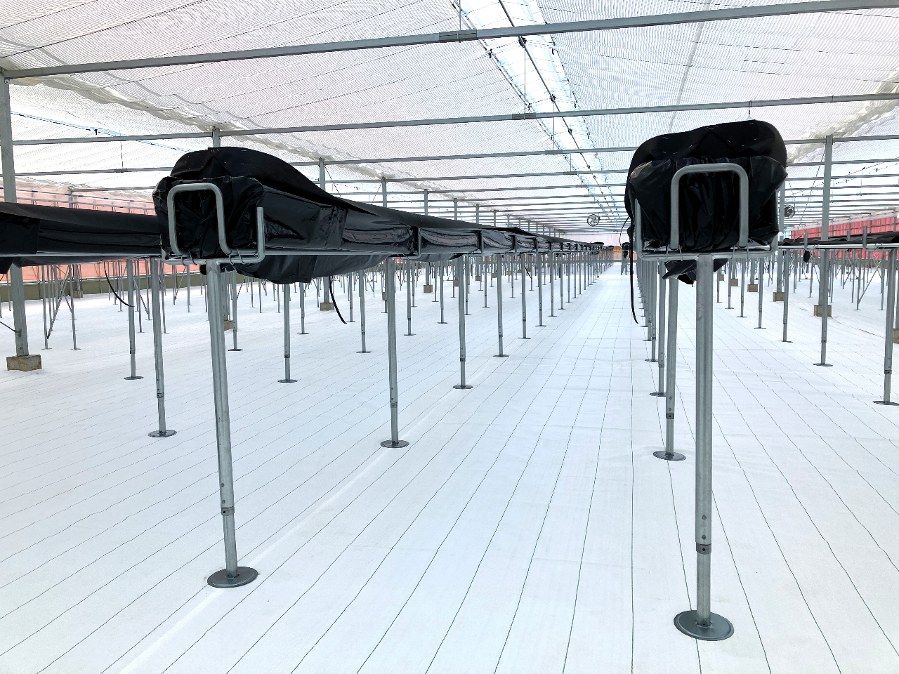 �Ԃ�����x�r�[�J�[���ʂ��悤�A��{���x���`�̃G���A���������܂��B����������̍ۂ̓X�^�b�t���������ς��T�|�[�g�����Ă��������܂��B