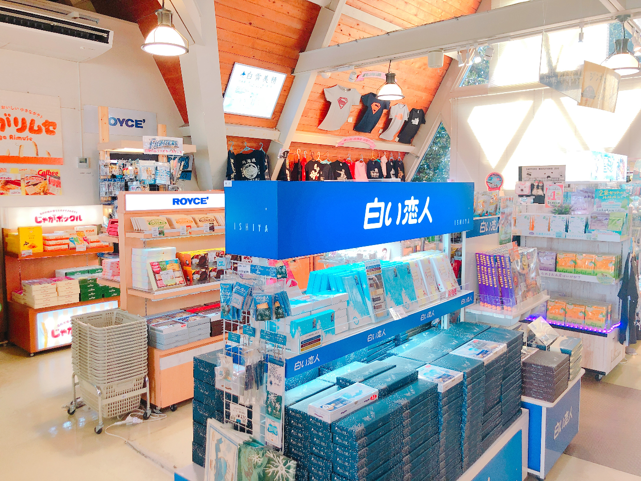 ۂruW]َ̂qAuN[Nm̗lvuruɍsĂ܂vuűuvlCłBWMXJ̃W̃ObYĂ܂