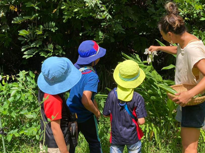 身の回りに自生する植物たちの持つ効能や使い方を知ろう!
