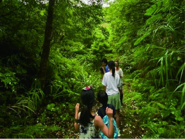 使用するハーブの効能をお伝えしながら里山畑を巡ります