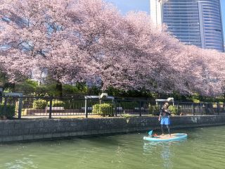 春シーズンは桜もきれいで特に人気です♪