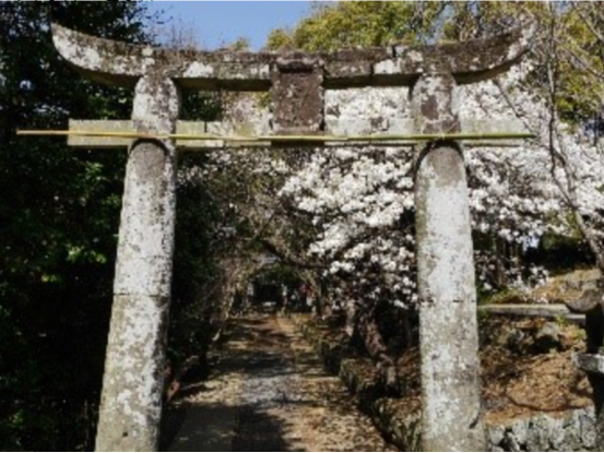 爾自神社(※コースの一例です)