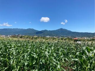 大山や丹沢の山がきれいに見えます!
