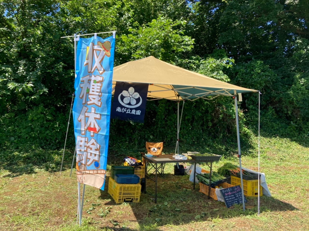 ���n�̌��{�݂ł͂Ȃ��A�m�荇���̔_�Ƃ̔��ɖ�؂��̂�ɗ������o�ł��z�����������I