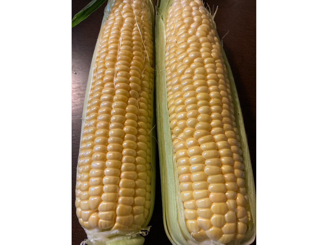 ���܁[���I�Ƃ����낱��