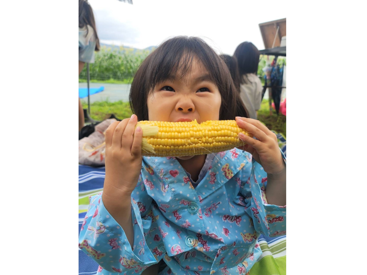 ���̏�ŃK�u���b�I�I