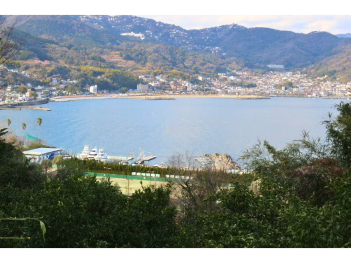 【丘の上から見る景色】