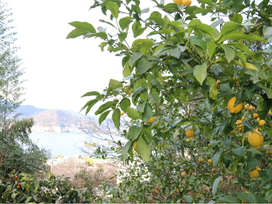 R_@œy̗͂őɐ悤ɍHvBSESȍ͔|Ă邱ƂAMCs̗ctEۈ牀EwZ̑̌wK̏ƂĂpĂ܂I