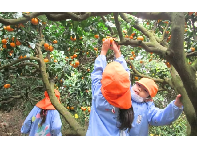 yߗחct݂̂Ȃž݂ɗĂĂqǂ