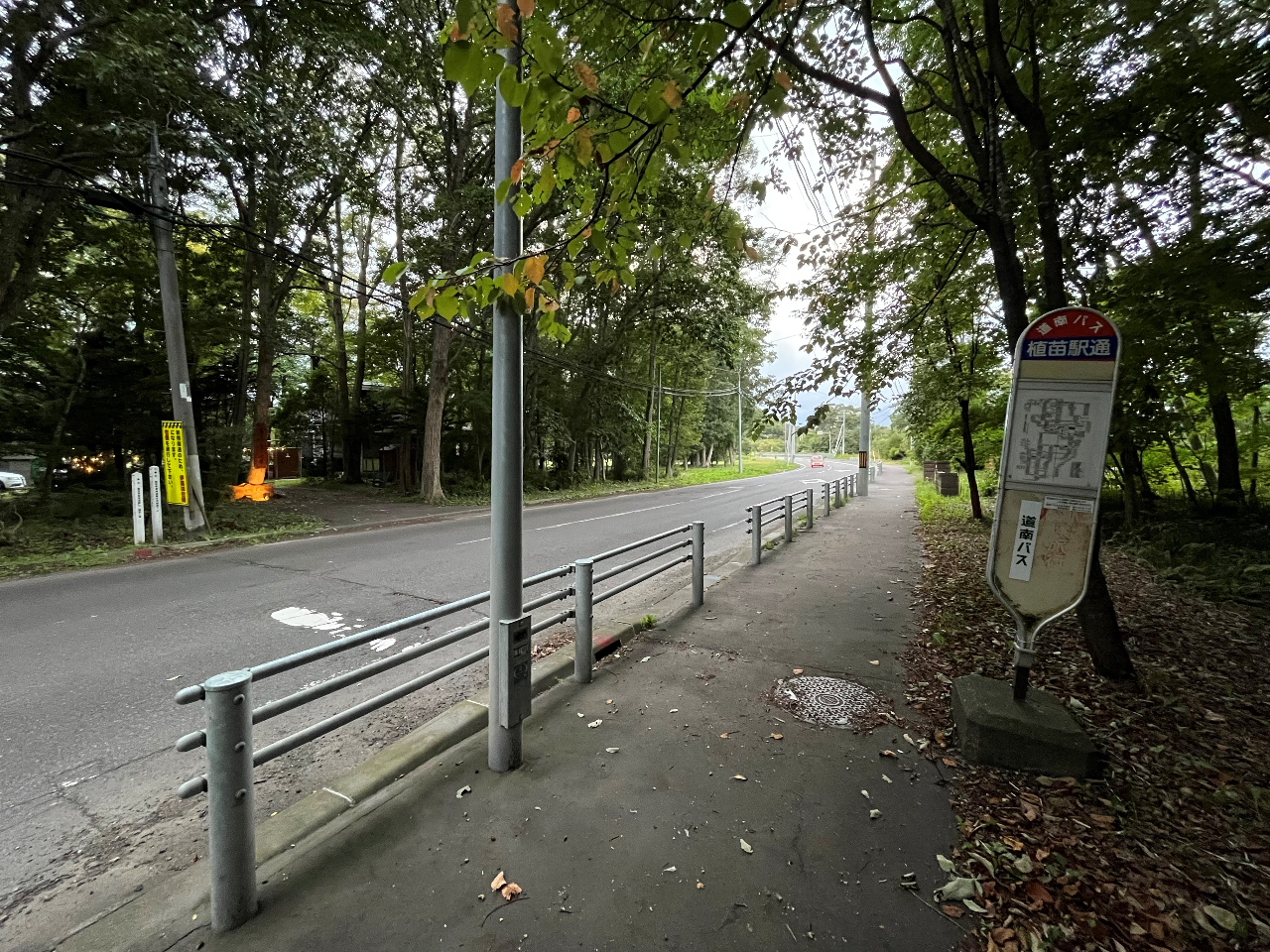 Lv̓oX̖ڂ̑Oɂ܂IԂȂĂANZXǍD