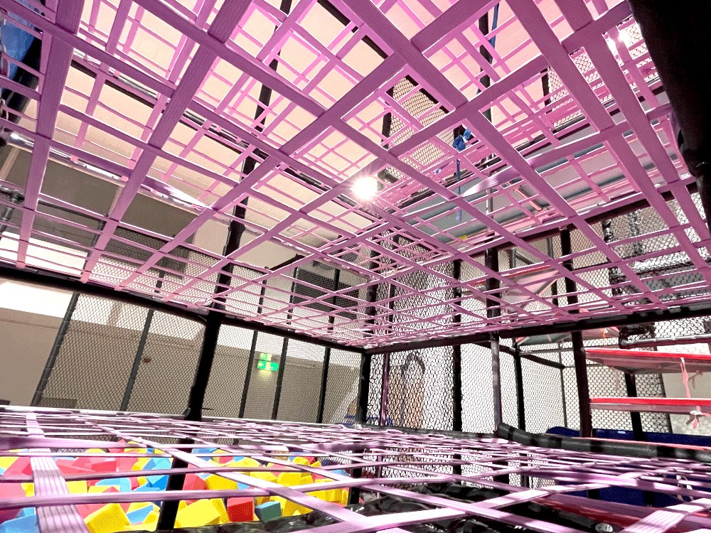 XpC_[tH[ {㗤IIX_̐VoAgNVBa݂ɂȂ邱ƊԈႢȂB