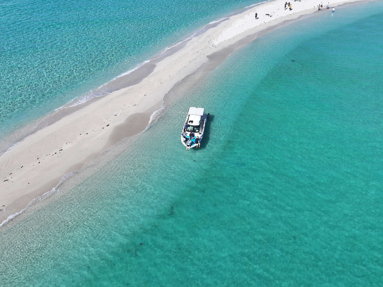 ���j�̕l��󂩂�I