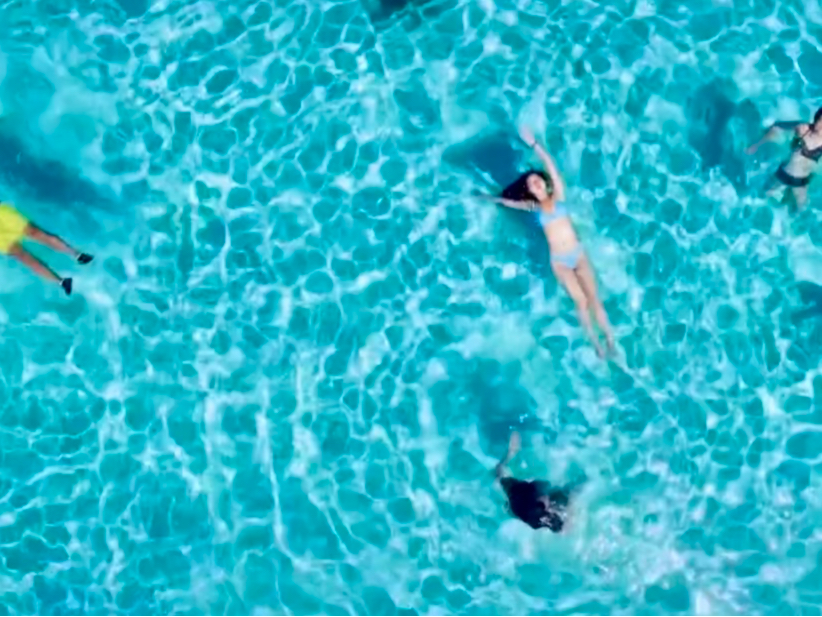 ꂩ̋G߁AjAqVтɍœKI