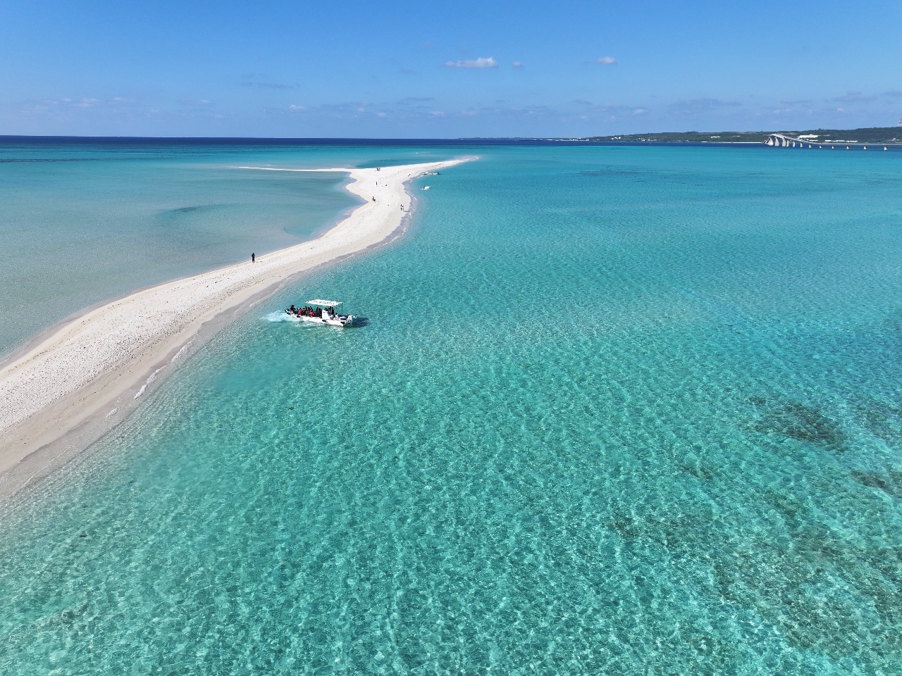 ���j�̕l�@���A