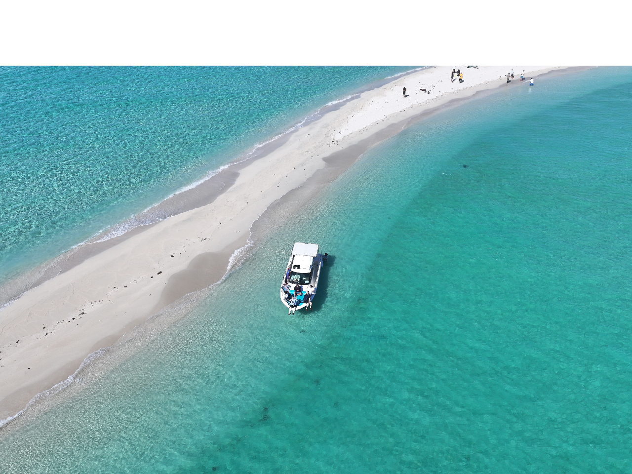 ���j�̕l�@���ʐ^