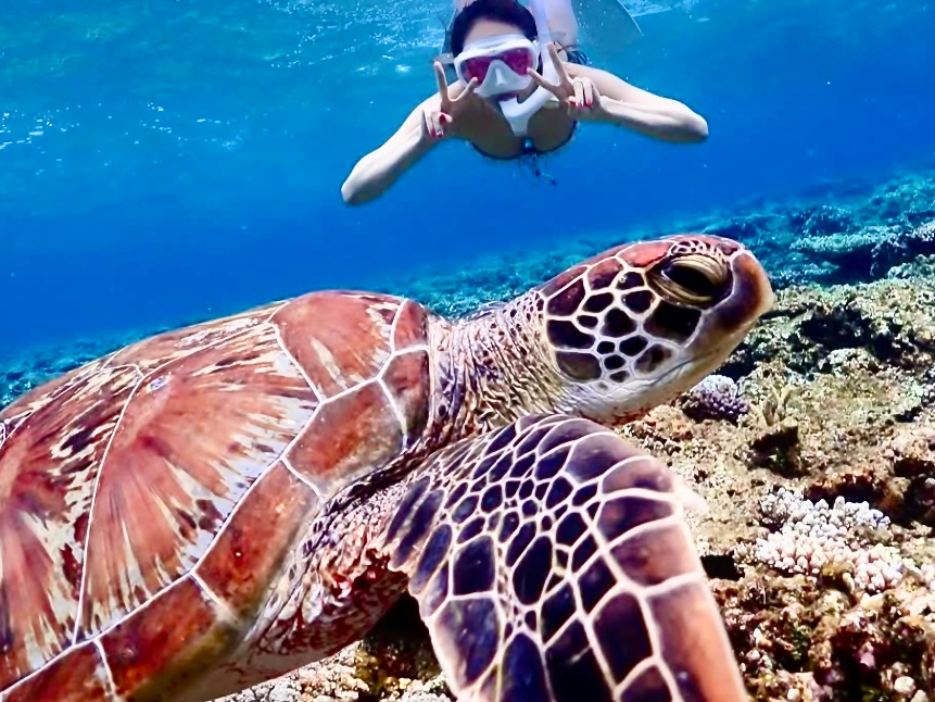 運が良ければ亀さんも!