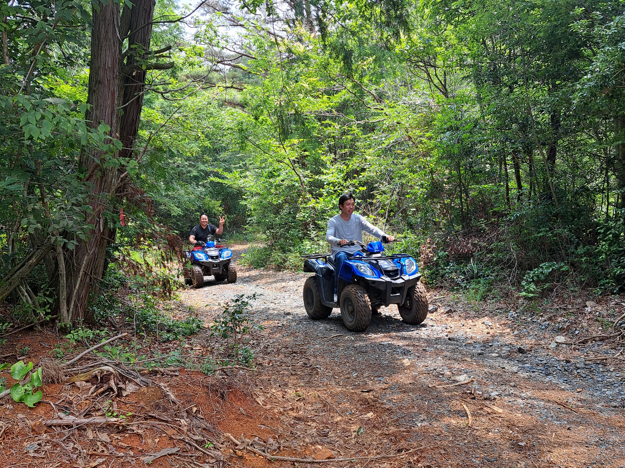 大自然の林道を駆け抜ける爽快感を味わえます