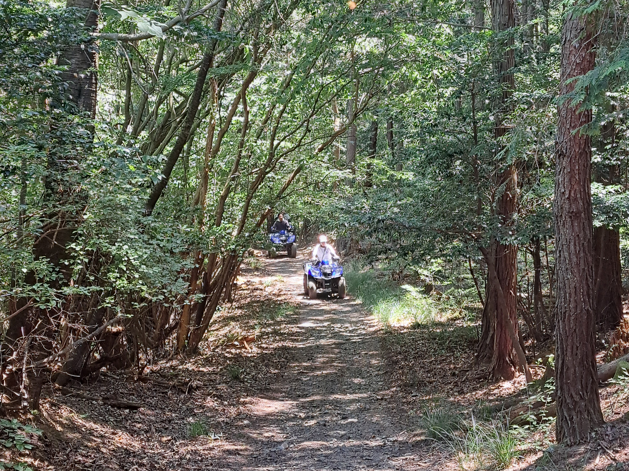 林道を駆け抜けて、スリル満点の坂道を駆け上がる