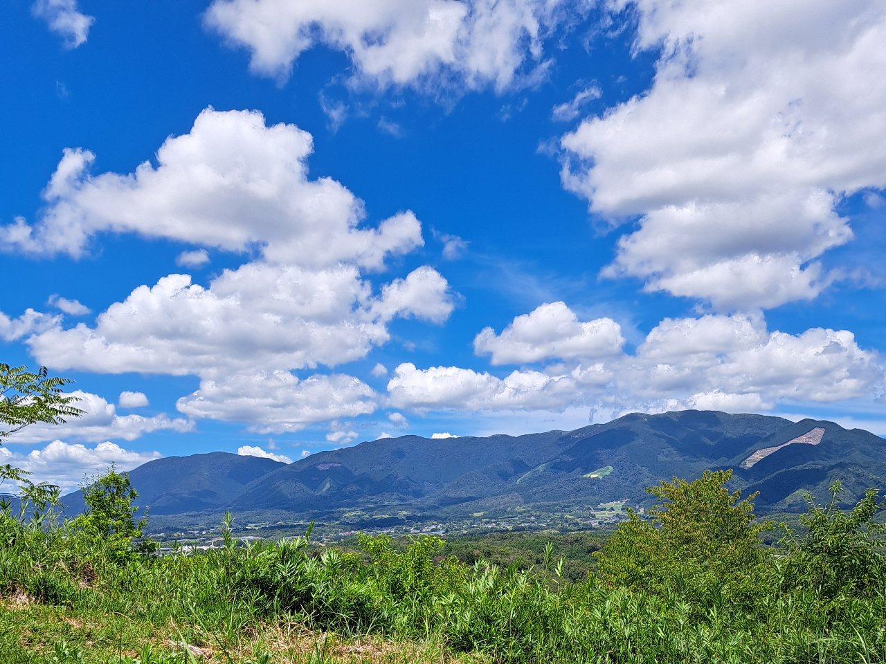 那岐山を望める山の頂上を目指して走ります。
