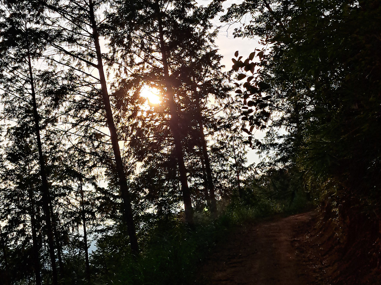 山頂から見る夕焼けはなんとも言えないキレイさです。