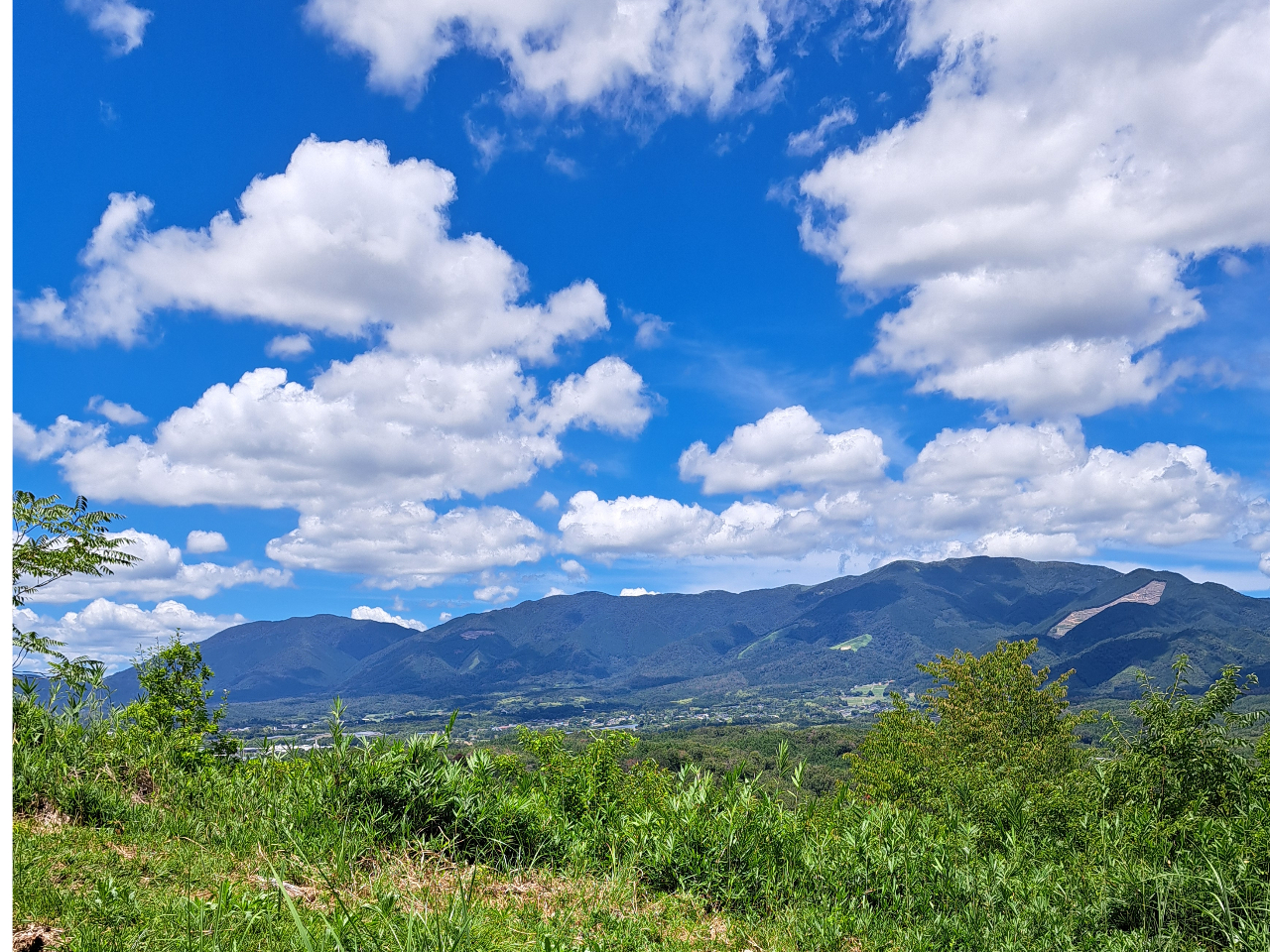 鋫R[X𔲂Ƃɂ͓ߊRːiLAɓB