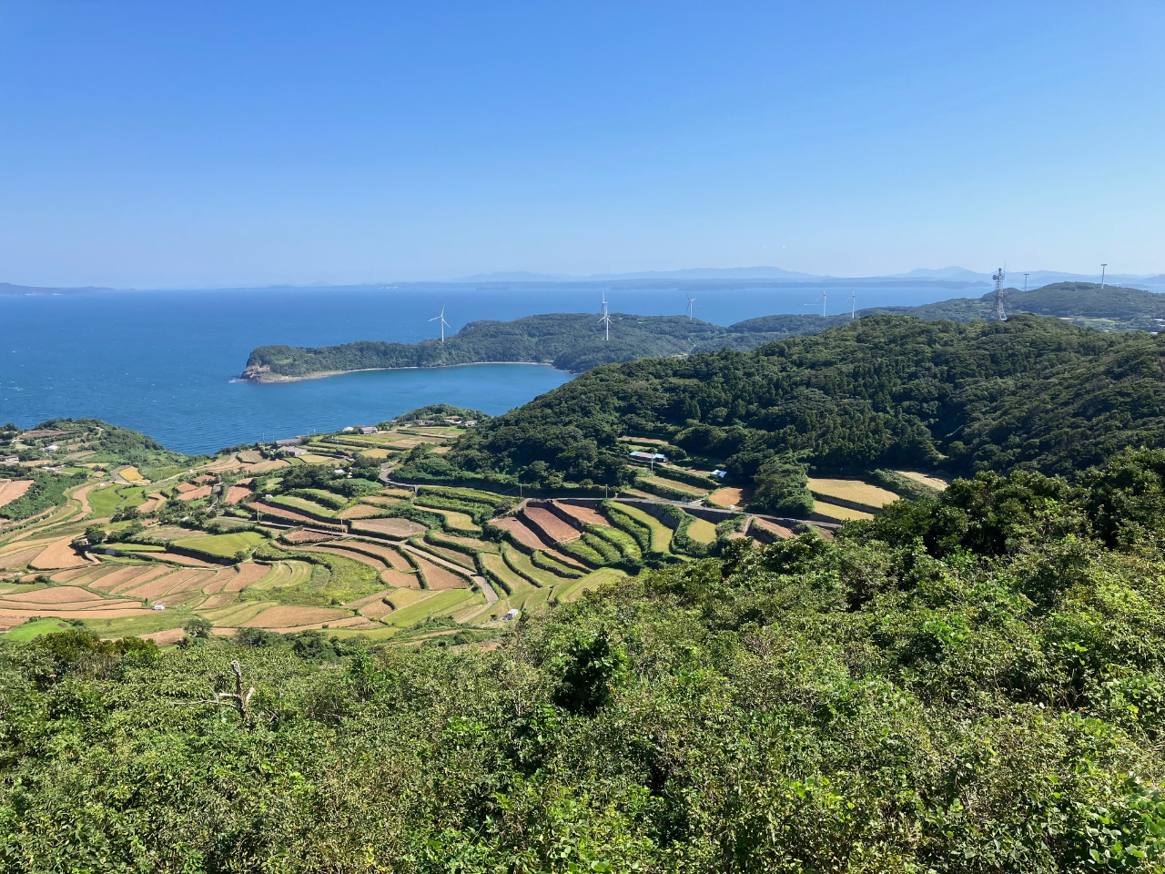 ���̒Ҕ_����������̌i�F�i�I�c�ƊC����]�ł��܂��B�j�@���]�Ԃœ����ό����\�ł��B