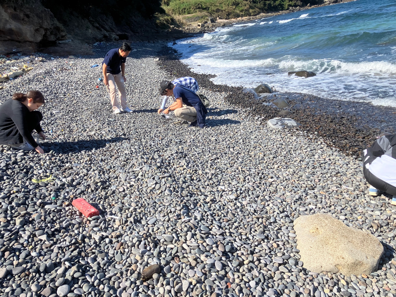 �V�R�̃V�[�O���X�T���̊C��