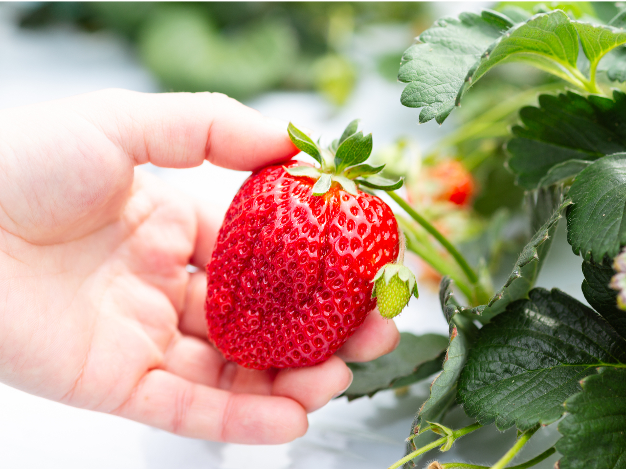 ���܂���