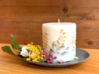 春を告げる花ミモザ