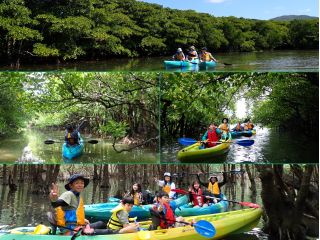 マングローブカヤック/亜熱帯の景色