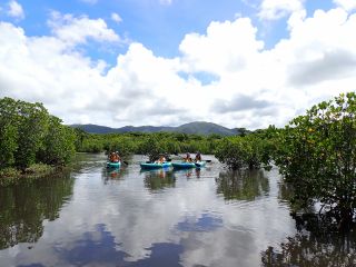 マングローブカヤック/非日常の世界