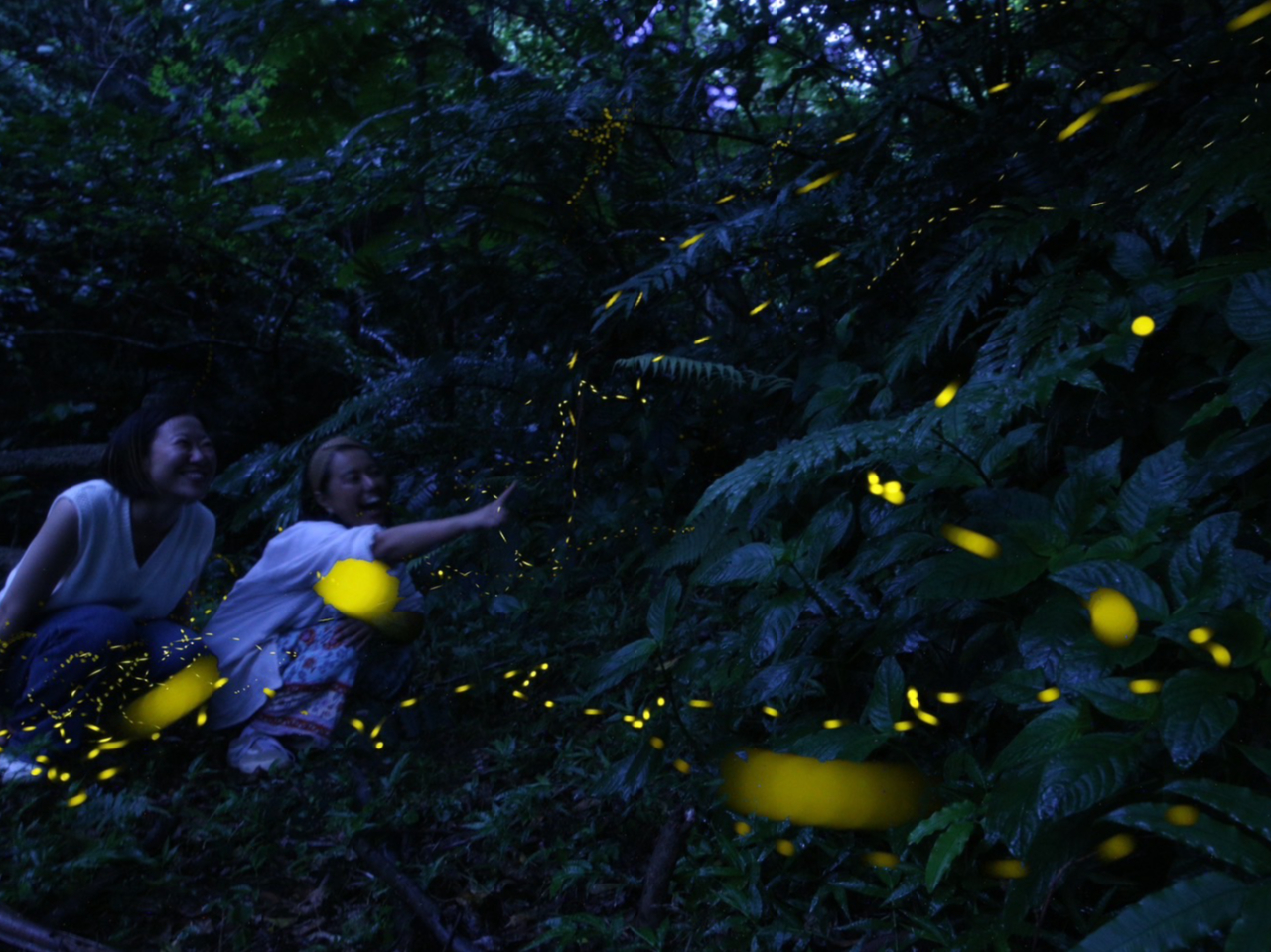 ���d�R�P�u�Ϗ܃c�A�[