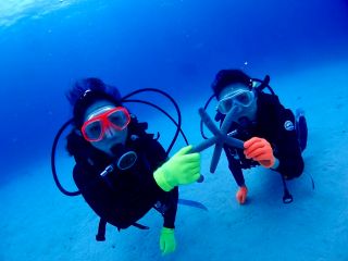 無重力な水中を楽しみましょう!