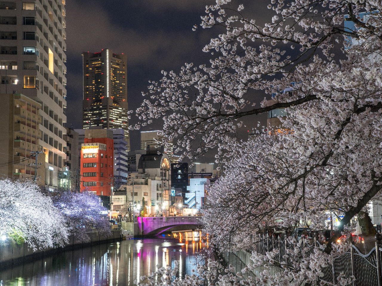 ���l�݂ȂƂ݂炢�̖�i�ƍ����؂̑g�ݍ��킹�͗܂��̂̕��i�ł��I