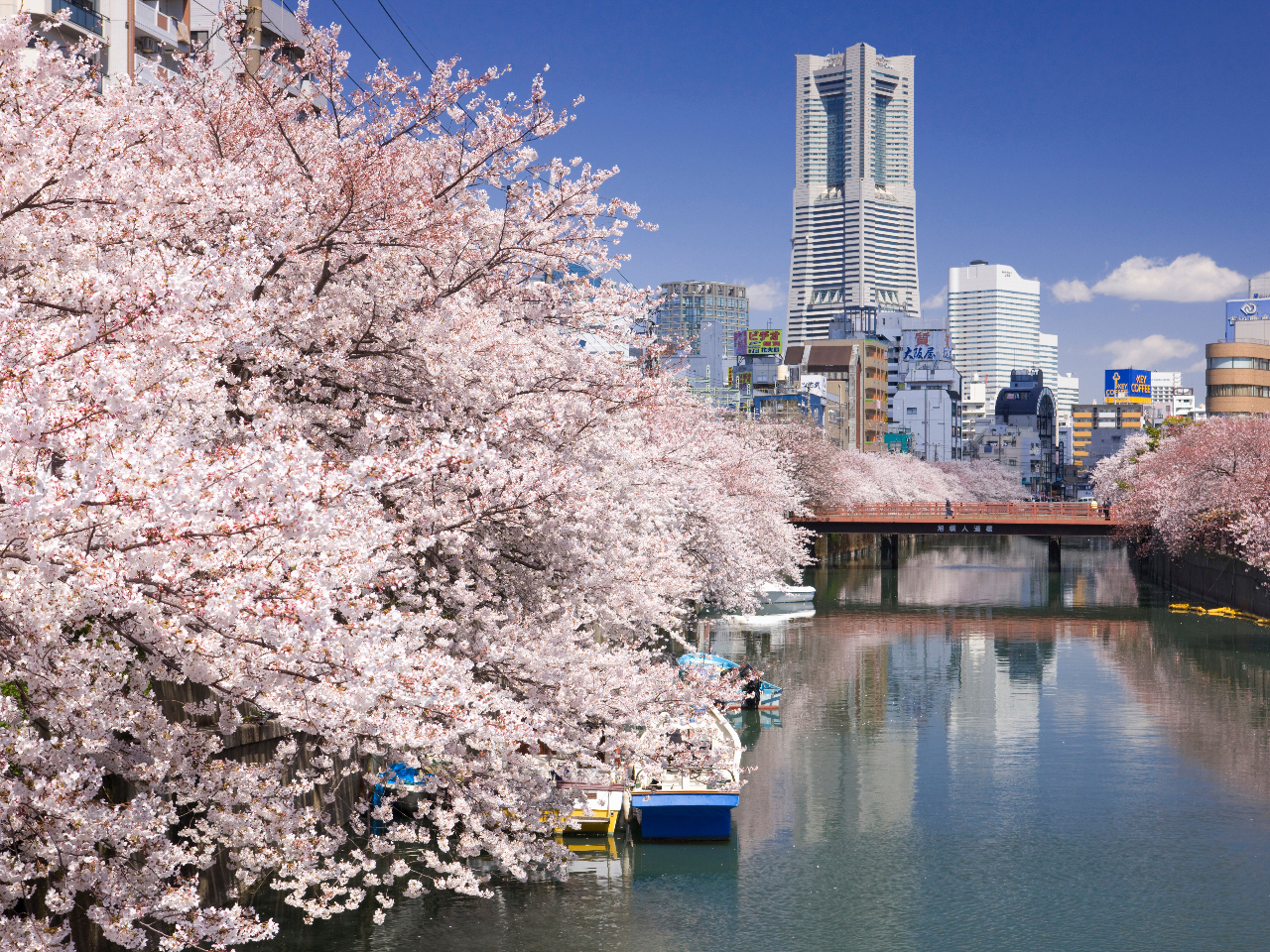 �D�ォ�猩������؂͂��܂܂łɑ̌��������Ƃ̂Ȃ����E�������邱�Ƃ��ł��܂��B