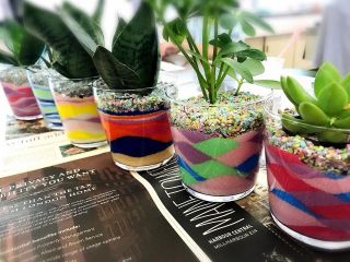 観葉植物2000円プラン