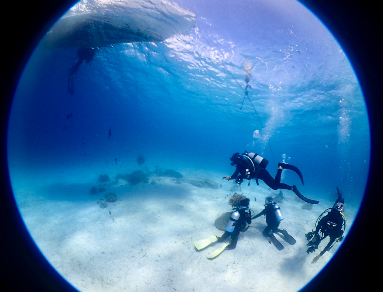 山田ポイントは砂地エリア