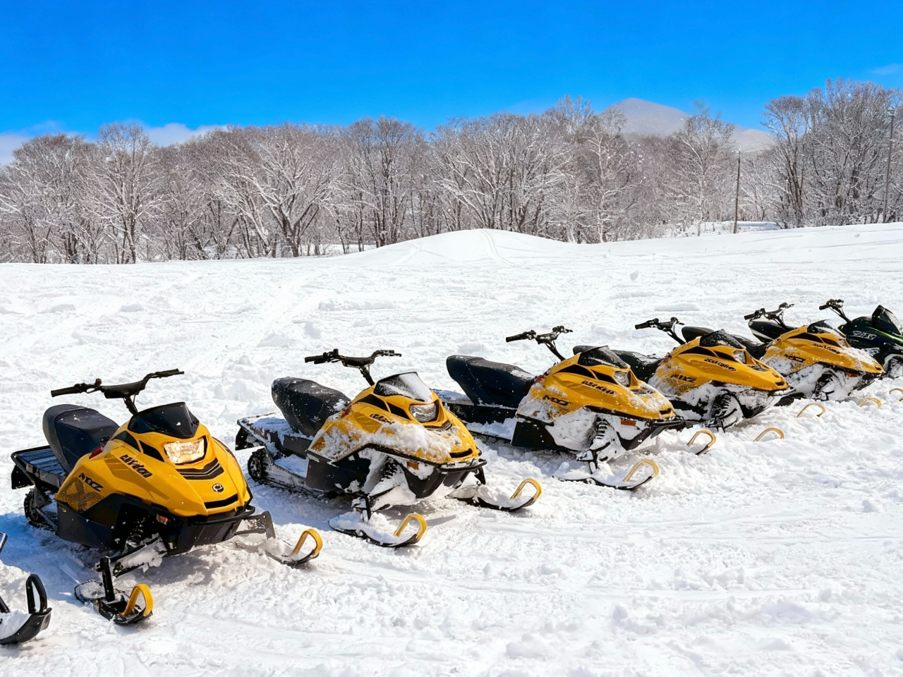 �ŐV���f���𓱓��I