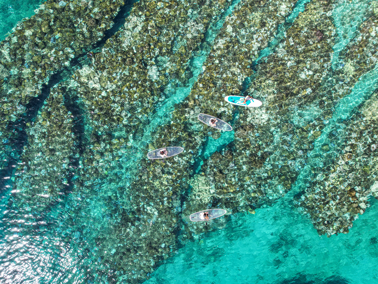 クリアサップツアー × シュノーケルツアー お得なセットプラン!!