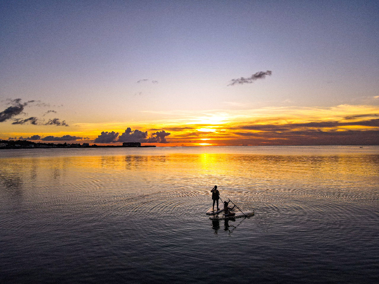 撮影に特化したプラン