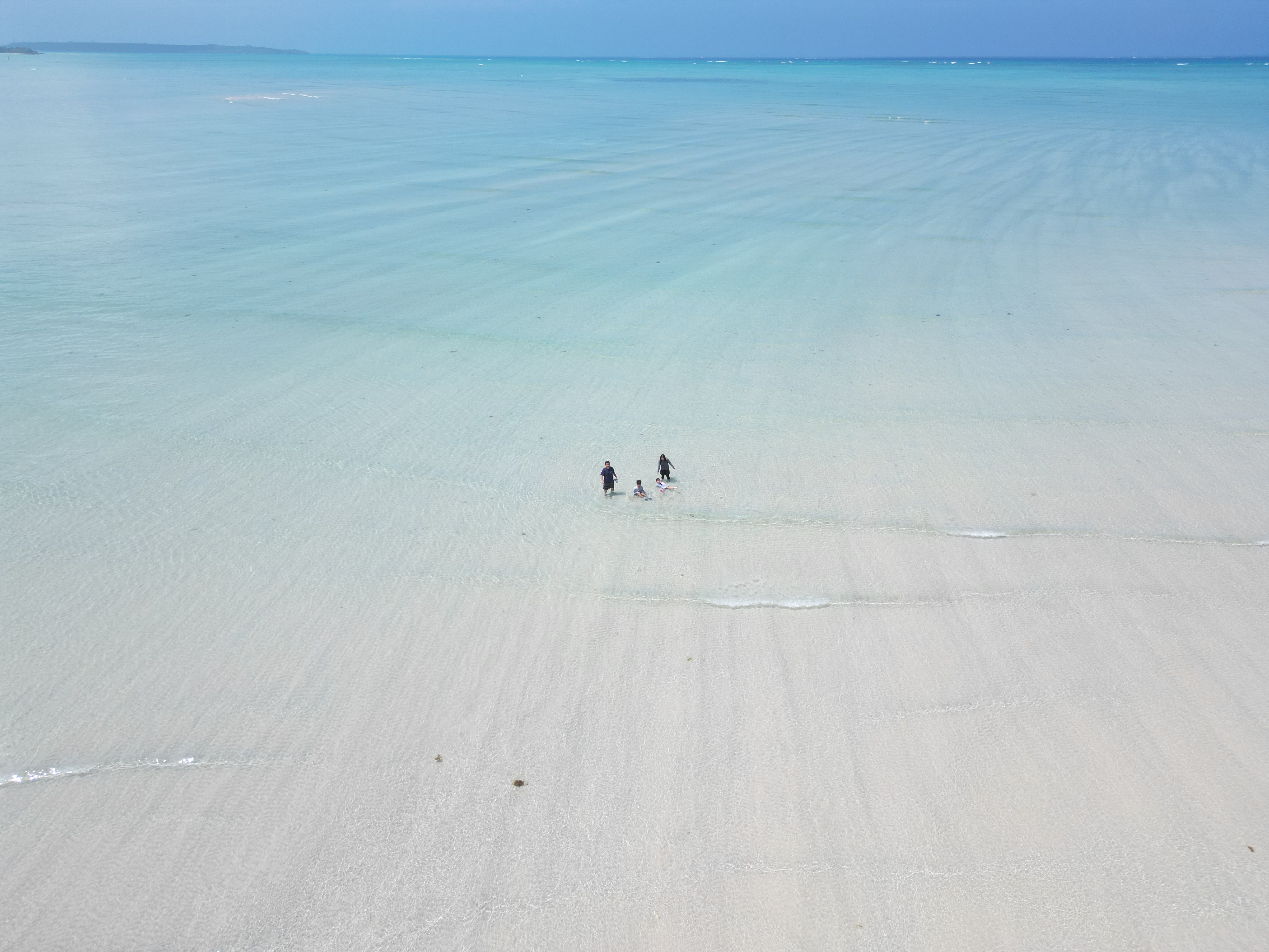 n̋{Ãu[yɑ̌ł̂̓j̕lI