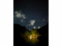 マングローブジャングルで自然浴