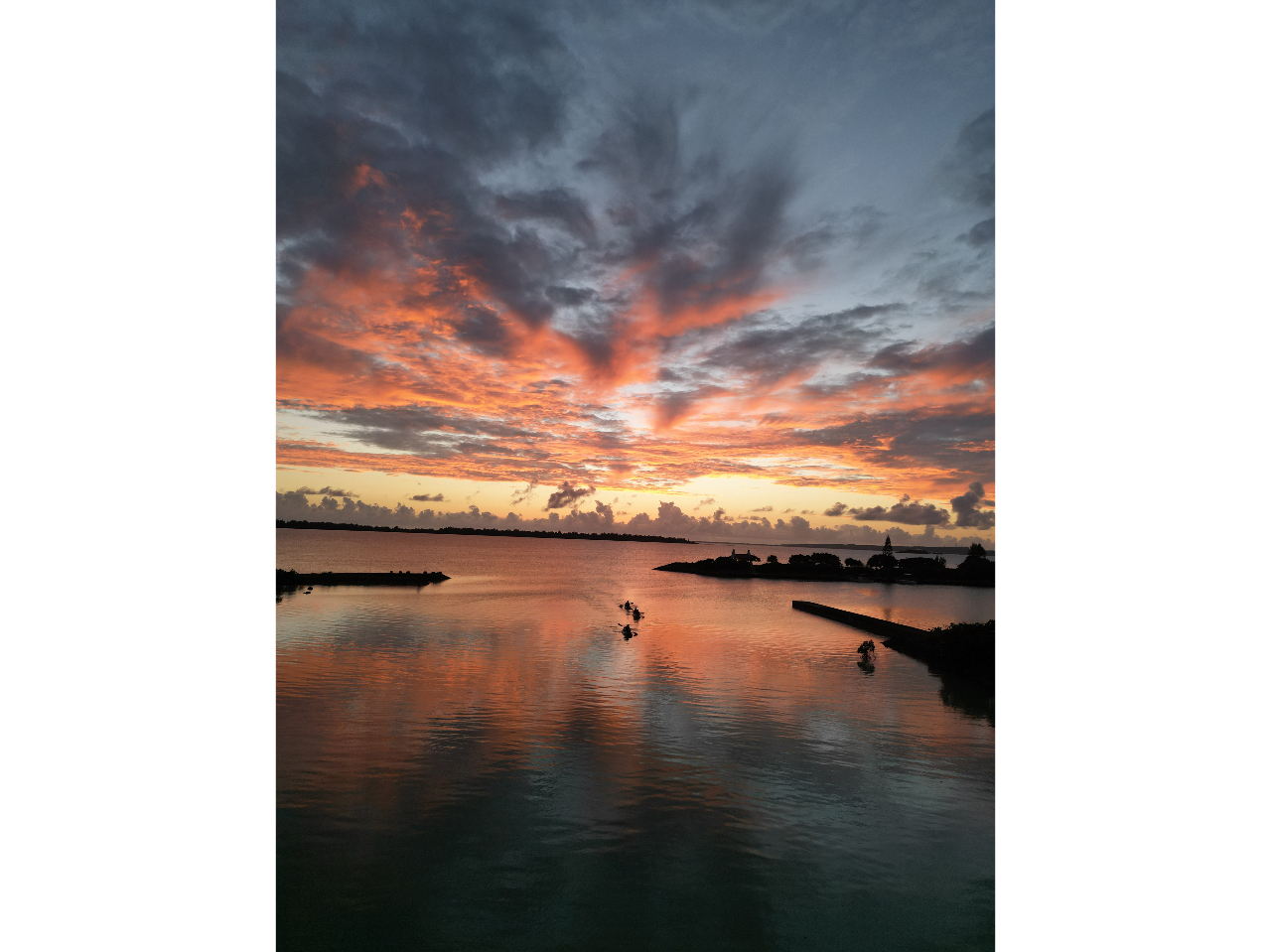 �R����悤�Ȑ�