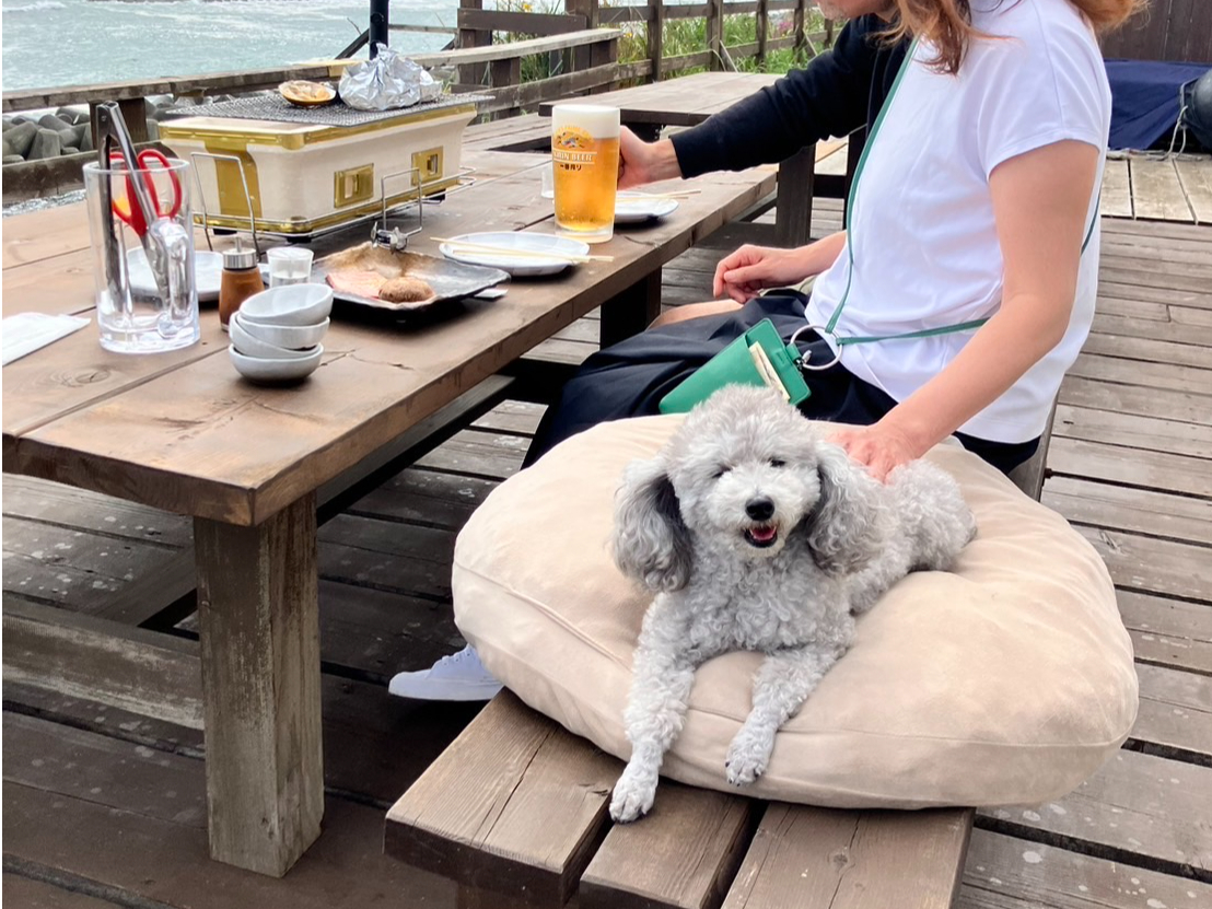 Xł͂ȂƉOeXȂɌAybgꏏɂHłႢ܂I]͂̕\̍ۂɃybg̎|`B