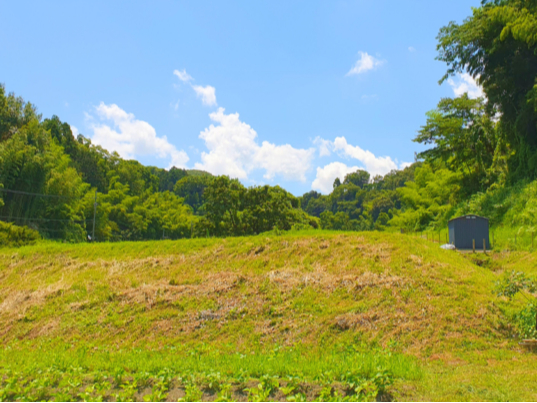 大阪の中でも自然あふれた街、穂谷で体験をお楽しみください♪