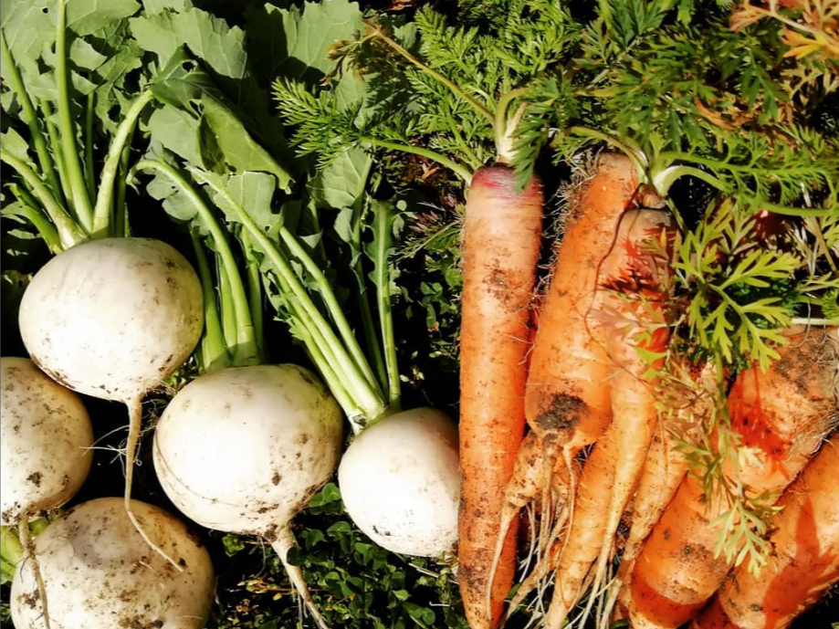 時期によって、さまざまなお野菜と出会うことができます♪