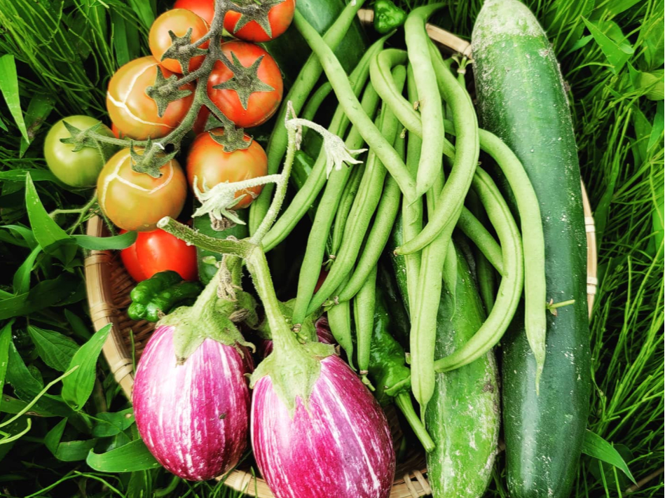 ̎ɂǂ̂悤Ȃ؂̂邩́AHPmF