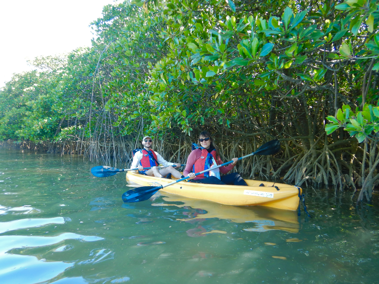 【マー次郎 】2個セットダナ カヌー オーデコロン 109ml マー次郎 】2個セットダナ カヌー オーデコロン 109ml マー次郎 様専用